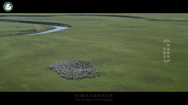 Ker SoundLITTLE-SHEEP